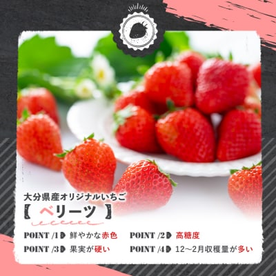 ベリーツ いちご 1.6kg【117900200】【Farm U.S.A.】