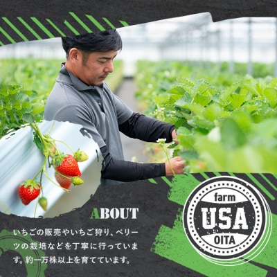ベリーツ いちご 2.4kg 大容量【117900300】【Farm U.S.A.】
