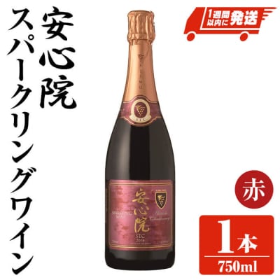 安心院スパークリングワイン 赤 1本 【107306800】【時枝酒店】