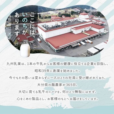 定期便3回(連続) みどり牛乳(1000ml×12本×毎月3回)【215700401】【九州乳業】