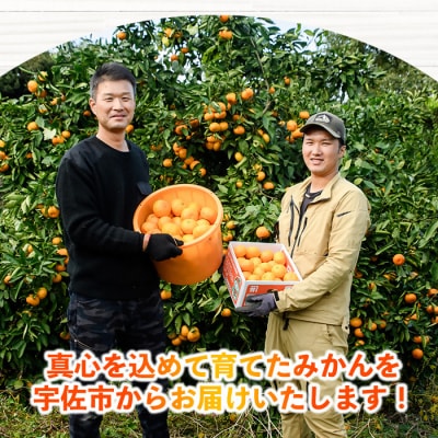 温州みかん 3.5kg 12月中旬発送【103670500】【井上農園】