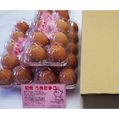 紀州うめたまご　40個 | ふるさと納税のお礼品