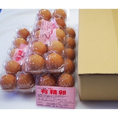 高級有精卵　40個 | ふるさと納税のお礼品