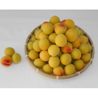 【梅干づくり用】紀州南高梅2kg(3Lサイズ)