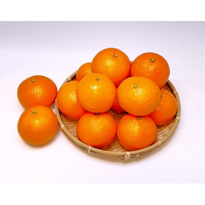 清見オレンジ3kg(2Lサイズ)