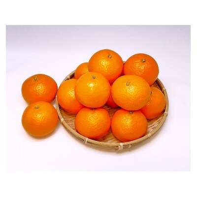 清見オレンジ5kg(2Lサイズ)