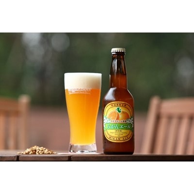和歌山県白浜町のクラフトビール　ナギサビール3種飲み比べ30本セット　330ml×30本