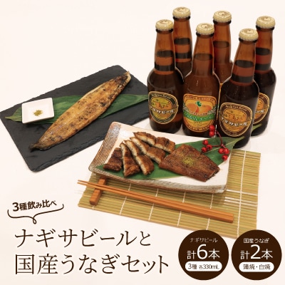 白浜町ビールセット【ナギサビール・国産うなぎ蒲焼・白焼各1本セット】【複数個口で配送】