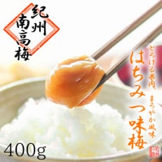 【梅農家手づくり梅干】【紀州南高梅】&rdquo;ぽってり&rdquo;はちみつ味梅(400g)/紀州小阪農園