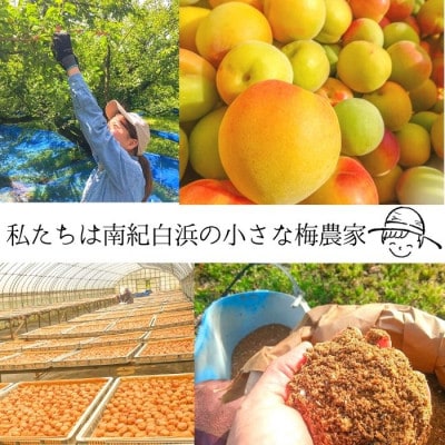 【梅農家手づくり梅干】【紀州南高梅】””紅しその薫り””しそ漬け梅　特選(400g)
