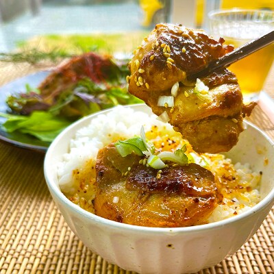 紬カフェ白浜店人気no 1のケバブチキンステーキ ご当地グルメをご自宅で 大容量10パック お礼品詳細 ふるさと納税なら さとふる