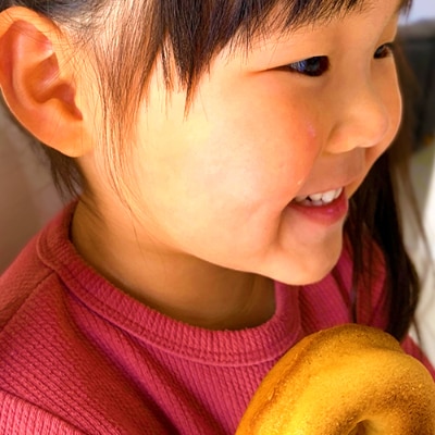 和歌山の歴史冒険物語絵本&身体に優しい焼きドーナツ5個セット