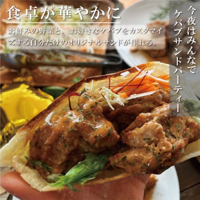皆で楽しむ!ケバブサンド手作りパーティーセット　チキンステーキ230g×6パック　専用ピタパン10枚