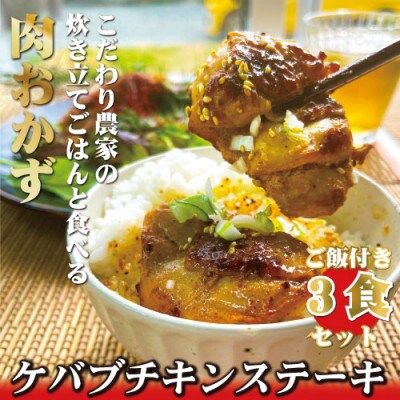 3種の味が楽しめる　ケバブチキンステーキと地元農家のおいしいお米の3食セット