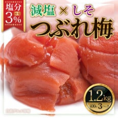 紀州南高梅　《つぶれ梅セット》　しそ漬け梅　塩分3%(1.2kg)【白浜グルメ市場】 | ふるさと納税のお礼品