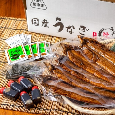 国産うなぎ蒲焼 備長炭炭火紀州職人手焼き 大サイズ5枚(合計約750g)薬味付【白浜グルメ市場】