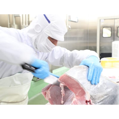 プレミア和歌山認証品 和歌山県串本産　本マグロ(養殖)トロ&赤身セット　500g(冷凍)