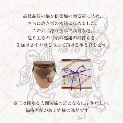 樹王(まろやか梅)