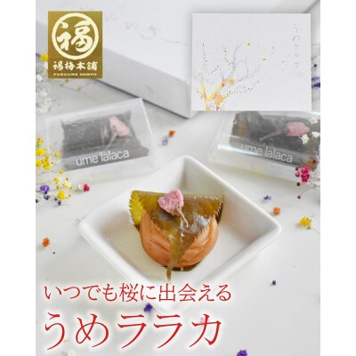 紀州南高梅　うめララカ