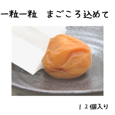 紀州南高梅　はちみつ味　完熟梅　5Lサイズ　12個入り