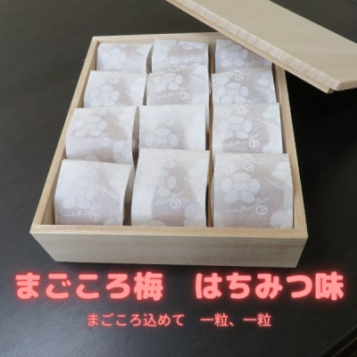 紀州南高梅　はちみつ味　完熟梅　5Lサイズ　12個入り