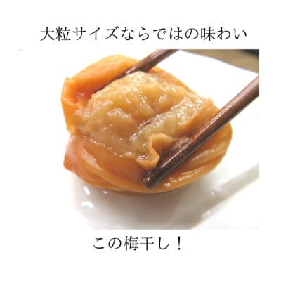 紀州南高梅　はちみつ味　完熟梅　5Lサイズ　1kg