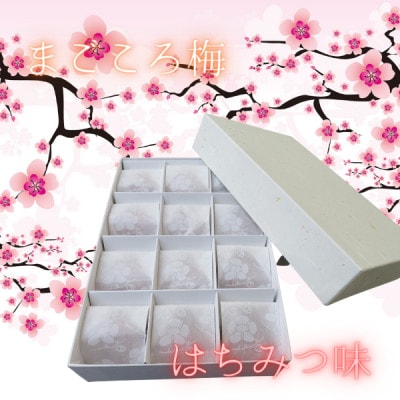 まごころ梅　5L　はちみつ味　個包装12個入り