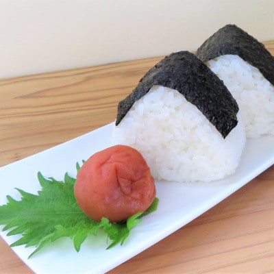 訳あり梅干し　まごころ梅　しそ味　大粒　500g×2個入り