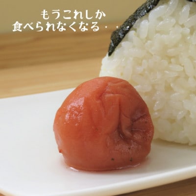 完熟紀州南高梅　かつお梅干し　500g　化粧箱入り風呂敷包み　塩分8%　ギフトにも◎