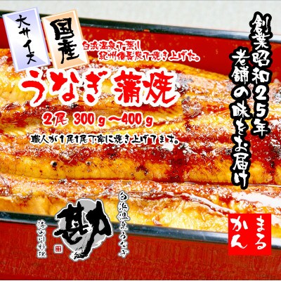 大サイズ国産うなぎ蒲焼2本セット