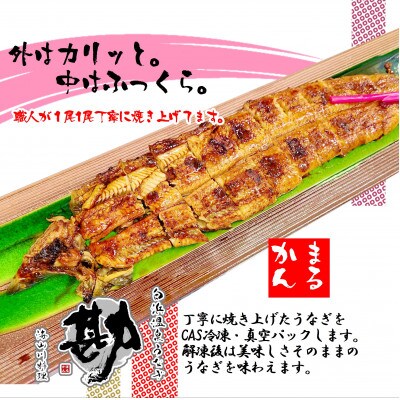 大サイズ国産うなぎ蒲焼2本セット