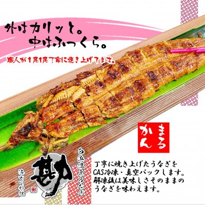 国産うなぎ蒲焼2本セット