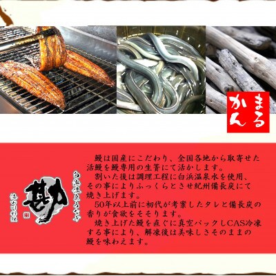 国産うなぎ白焼2本セット