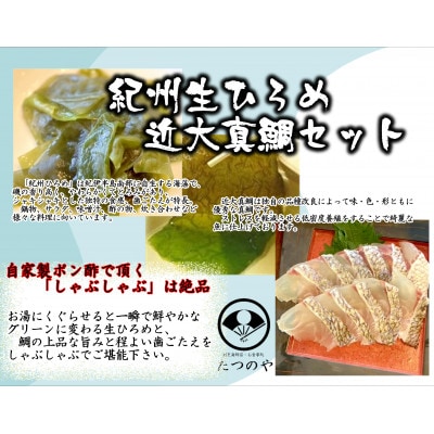 紀州生ひろめと近大真鯛
