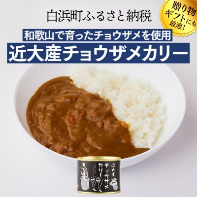缶詰バー気分が楽しめる缶詰セット　缶詰め カレー だし巻き チキン 鯛