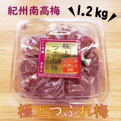 紀州南高梅　極上つぶれ梅　しそ1.2kg(400g×3個)