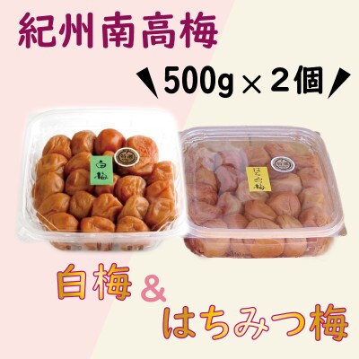 【2024年3月中旬発送】紀州南高梅　はちみつ&白梅　1kg(各500g)