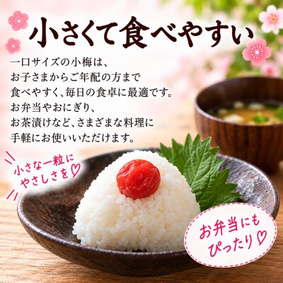 紀州小梅を使用した訳ありしそ調味梅干し 小粒 90g×3袋入り 便利な小分けスタンドパック