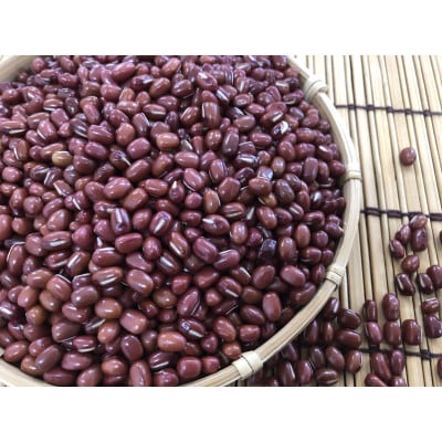 更別村小豆・金時豆(500g×各2袋)≪2023年産≫