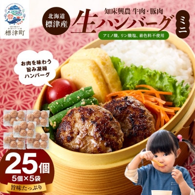 ���n���o�[�O�~�j 25�Z�b�g(5��×5�p�b�N)�Ⓚ�ł��͂� ���Y ���� �ؓ� �M�t�g�ɂ���������