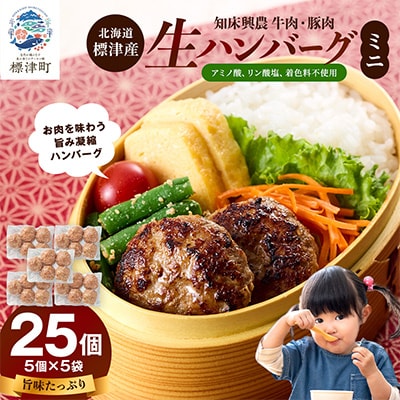 生ハンバーグミニ 25個セット(5個×5パック)冷凍でお届け 国産 牛肉 豚肉 ギフトにもおすすめ