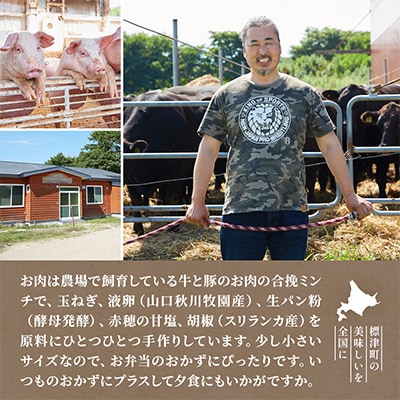 生ハンバーグミニ 25個セット(5個×5パック)冷凍でお届け 国産 牛肉 豚肉 ギフトにもおすすめ