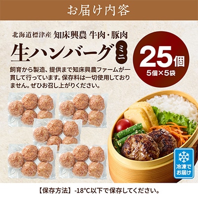 生ハンバーグミニ 25個セット(5個×5パック)冷凍でお届け 国産 牛肉 豚肉 ギフトにもおすすめ