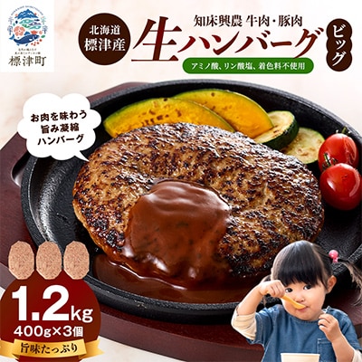 生ハンバーグ 400g×3個セット 冷凍でお届け 国産 牛肉 豚肉 ギフトにもおすすめ