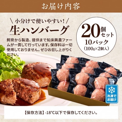 生ハンバーグ20個セット　冷凍 国産 牛肉 豚肉