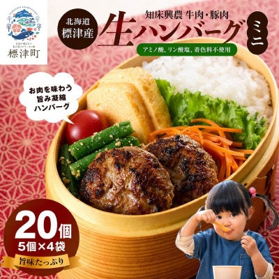 生ハンバーグミニ 20個セット(5個×4パック)冷凍でお届け 国産 牛肉 豚肉