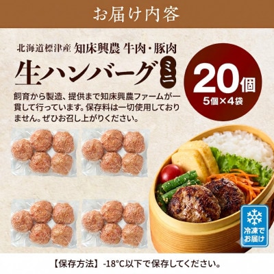 生ハンバーグミニ 20個セット(5個×4パック)冷凍でお届け 国産 牛肉 豚肉