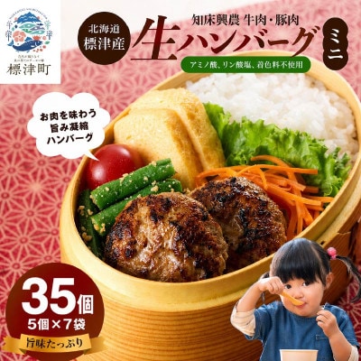 生ハンバーグミニ 35個セット(5個×7パック)冷凍でお届け 国産 牛肉 豚肉