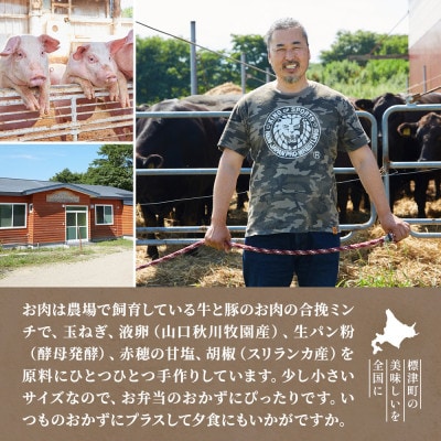 生ハンバーグミニ 35個セット(5個×7パック)冷凍でお届け 国産 牛肉 豚肉