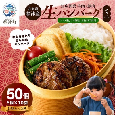 生ハンバーグミニ 50個セット(5個×10パック)冷凍でお届け 国産 牛肉 豚肉